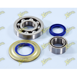 Polini crankshaft overhaul kit