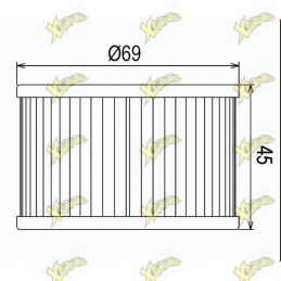 Filtro olio COF461 Kymco...