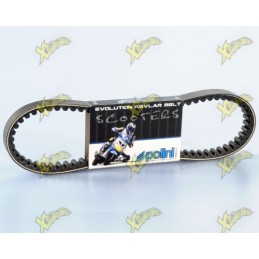 Polini variator belt for...