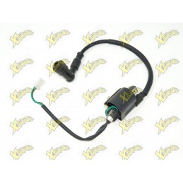 Pitbike quad coil 4t Lem