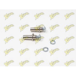 Pair of Stamas brake studs