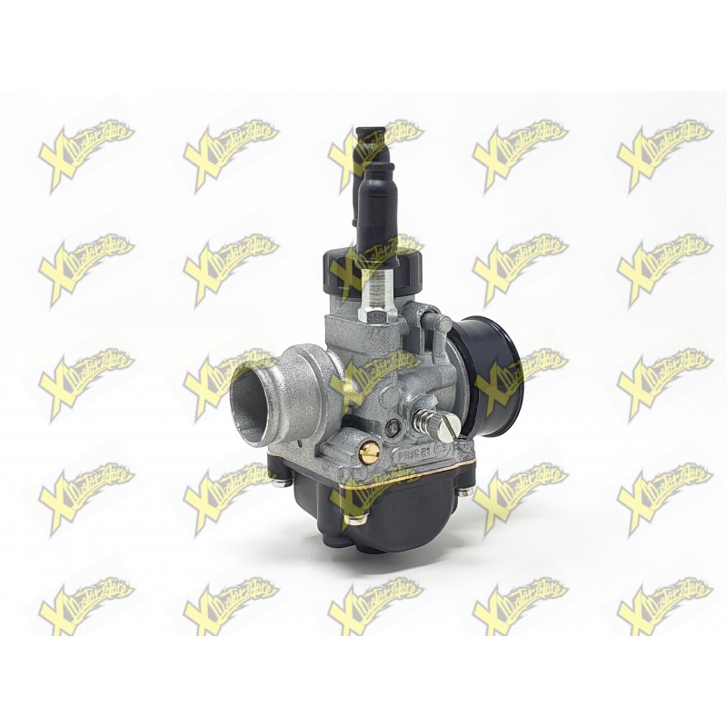 Carburetor Dellorto phbg 21 ds