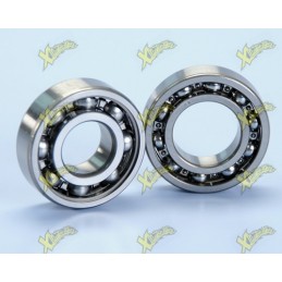 Polini crankshaft bearings...