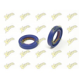 Paraoli minimoto 15x24x5 racing Polini