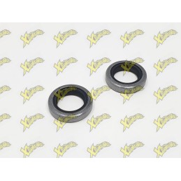 Polini minibike engine seals (15x22x5) 143.065.001