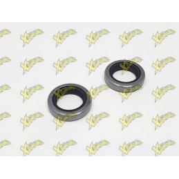 Polini minibike engine seals (15x22x5) 143.065.001