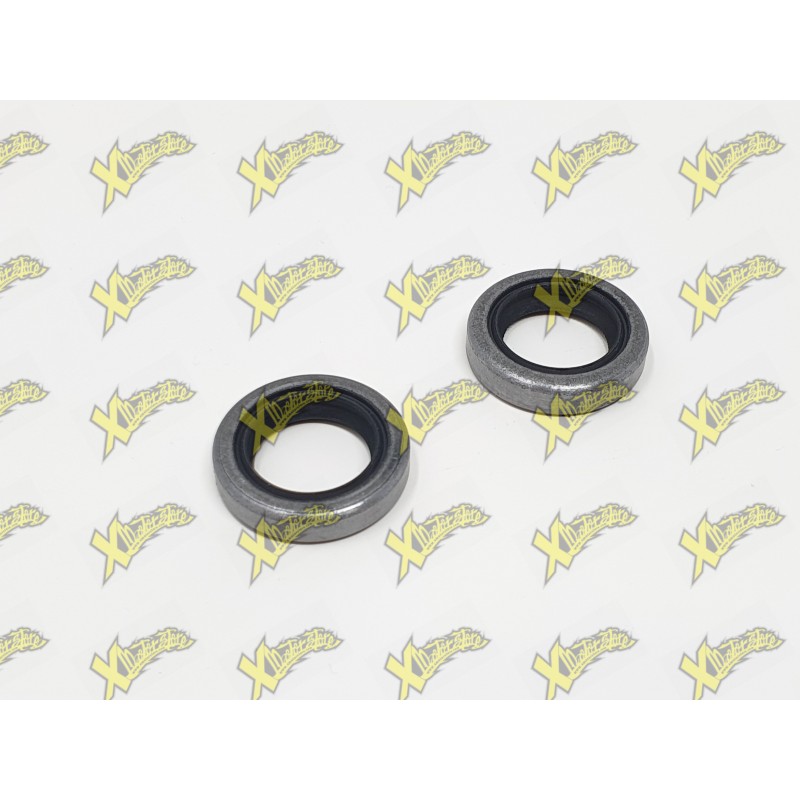 Polini minibike engine seals (15x22x5) 143.065.001