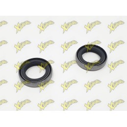 Polini minibike engine seals (15x22x5) 143.065.001