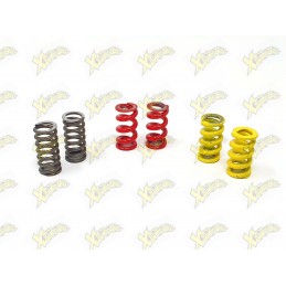 Kit springs clutch Polini minibike