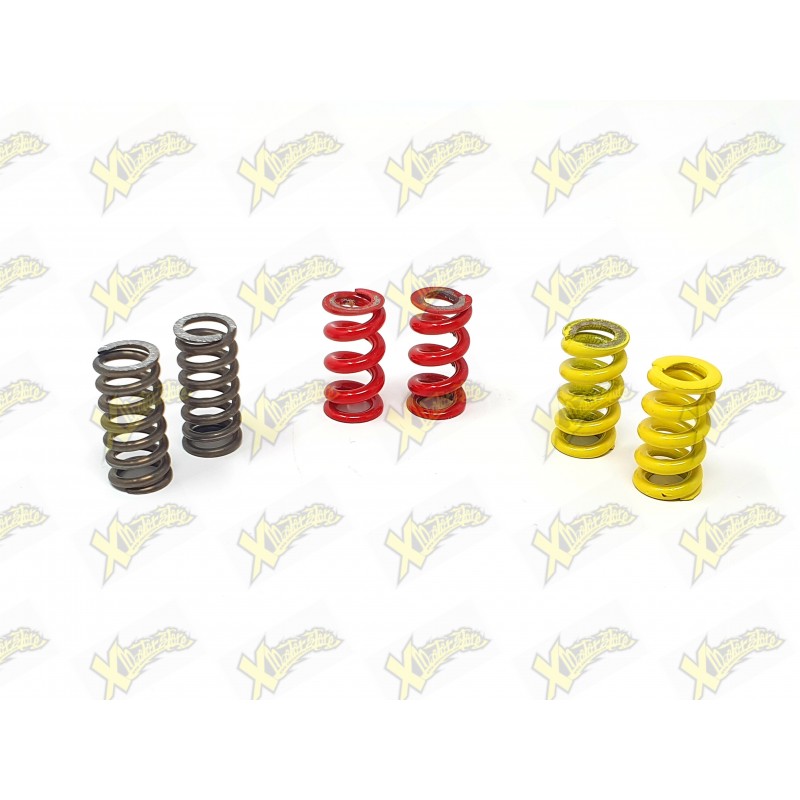 Set molle polini per frizione minimoto (D.1,6-2,3-2,5)