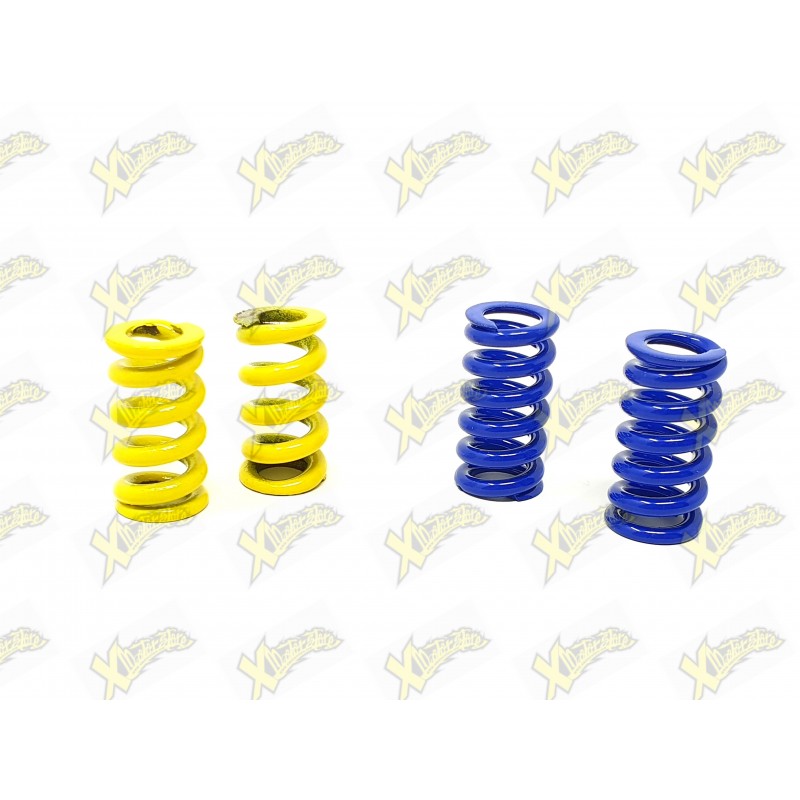 Minibike clutch sets Polini