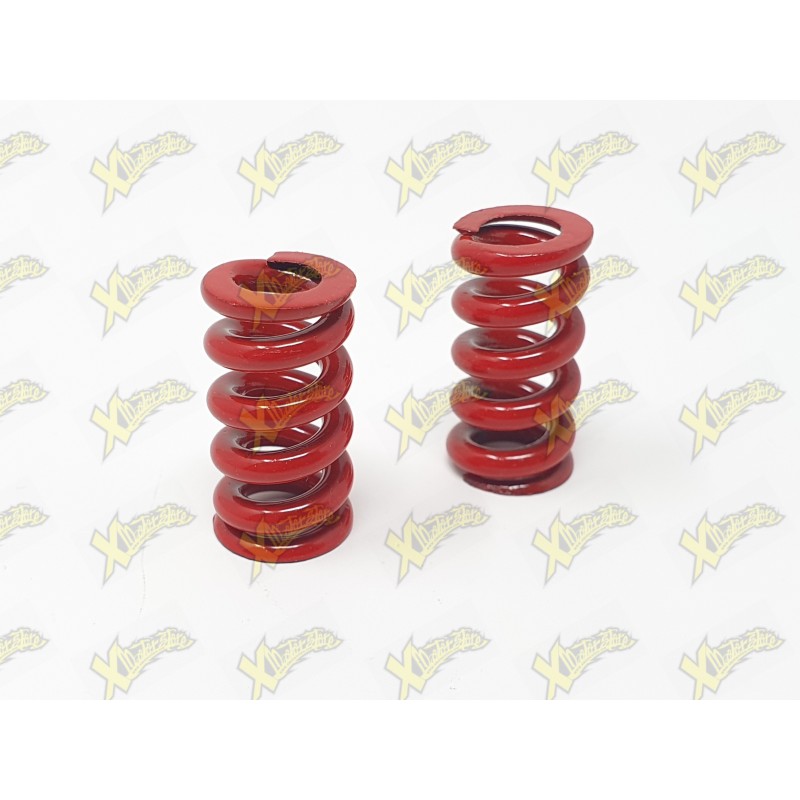 Red Clutch springs wire 2.5 mm