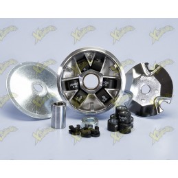 Polini Variator for Piaggio...