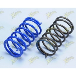 Polini contrast springs kit