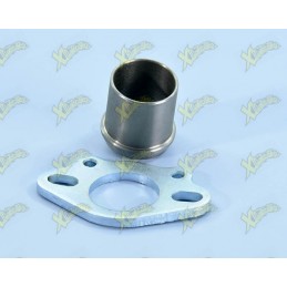 Exhaust manifold for exhaust 200.0172