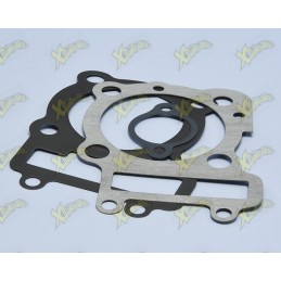 Series of gaskets Lml 209.0470