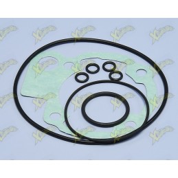 Set of gaskets Am6 50 mm...