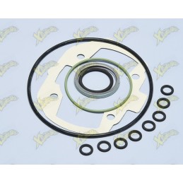 Set of gaskets Peugeot h2o 47mm 209.0456