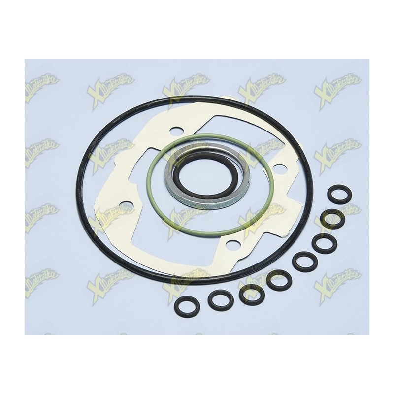 Set of gaskets Peugeot h2o 47mm 209.0456