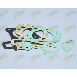 Polini gaskets series 209.0469