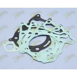 Polini gaskets series 209.0434