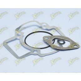 Polini gasket series 40.2...