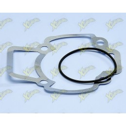 Polini gaskets series...