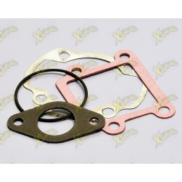 Polini gaskets series...