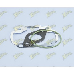 Polini gaskets set for...