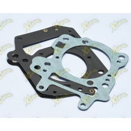 Polini gaskets series...