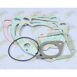 Polini gasket set for Rotax...