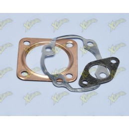 Polini gaskets series...