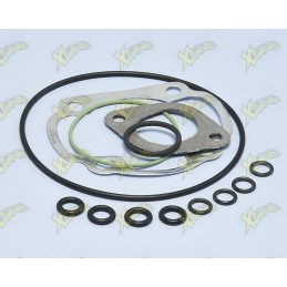 Polini gasket series...