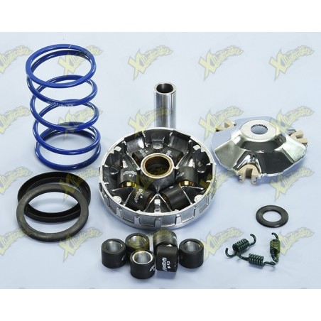 Polini Variator for Hi-speed Piaggio Liberty 50 4T iGET