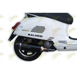 Muffler Rx black Malossi...