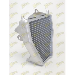 Increased Dm minibike radiator