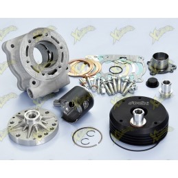 Polini crankcase kit...