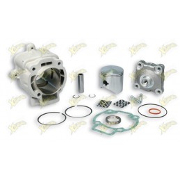 Malossi cylinder kit...