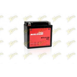 Malossi battery MTX14-BS...