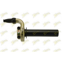 Domino Kre 03 gold throttle...