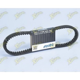 Polini variator belt for...