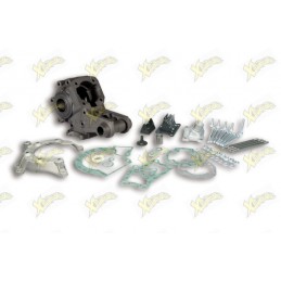 Malossi crankcase for...