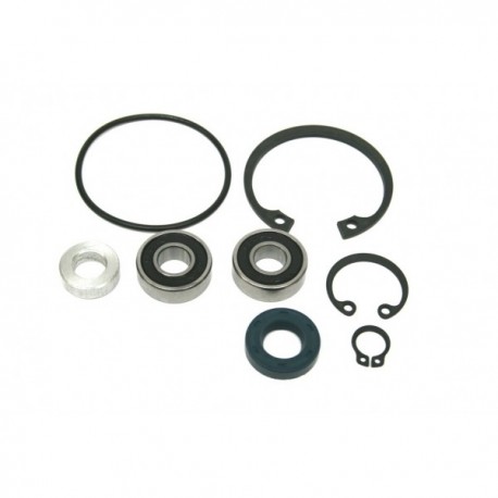 KIT REVISIONE POMPA ACQUA D.30 - REPAIR KIT WATER PUMP D30 KIT REVISIONE POMPA ACQUA D.30 - REPAIR KIT WATER PUMP D30