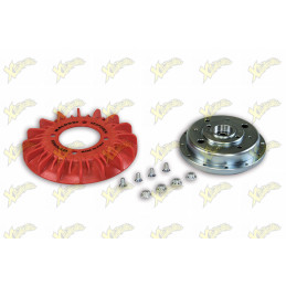 Malossi 5517516 flywheel...