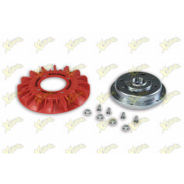 Malossi 5517518 flywheel...