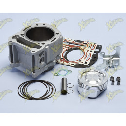 Polini cylinder kit for...