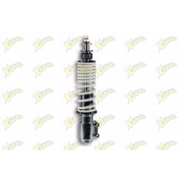 Malossi RS24 front shock...