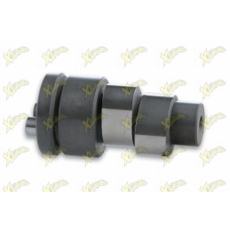 Camshaft Malossi Power cam...