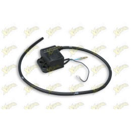 Malossi Transducer for...