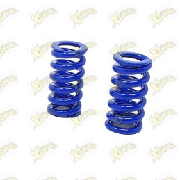 Clutch springs Ghr blue 2,3...